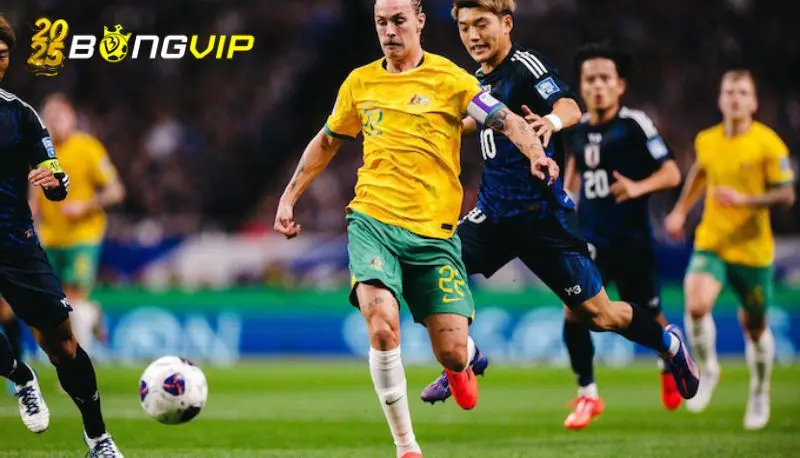 Phong độ gần đây của Nhật Bản ở soi kèo Australia vs Nhật Bản