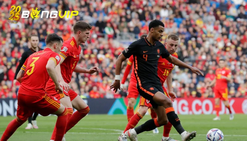 soi kèo Bỉ vs Wales Mục tiêu và động lực soi kèo Bỉ vs Wales