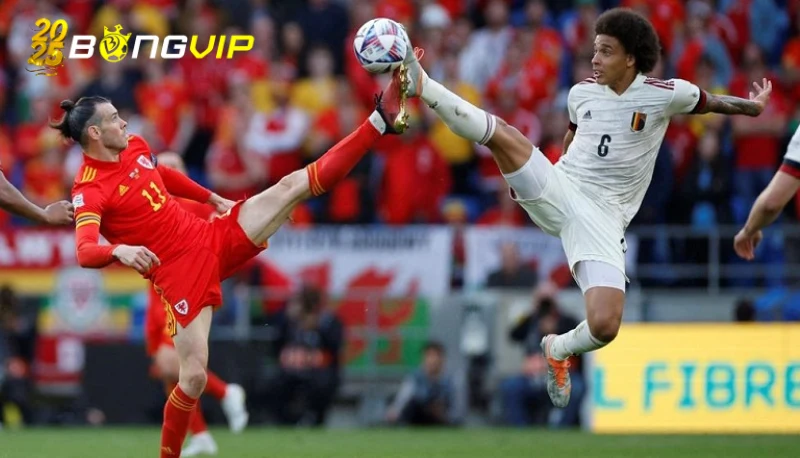soi kèo Bỉ vs Wales Chi tiết về soi kèo Bỉ vs Wales