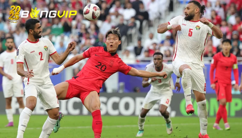 soi kèo Bỉ vs Wales Phong độ và tình hình lực lượng soi kèo Bỉ vs Wales