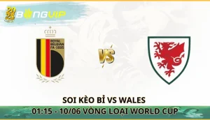 soi kèo Bỉ vs Wales