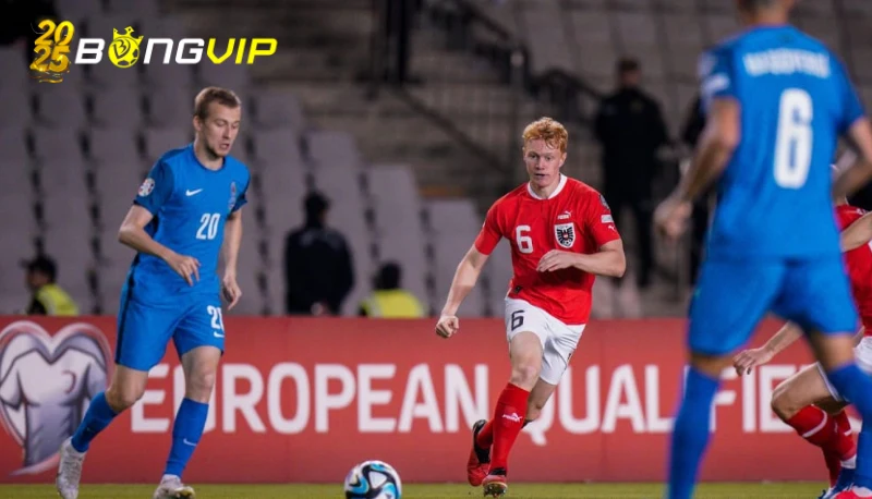 soi kèo Estonia vs Na Uy Chi tiết về soi kèo Estonia vs Na Uy