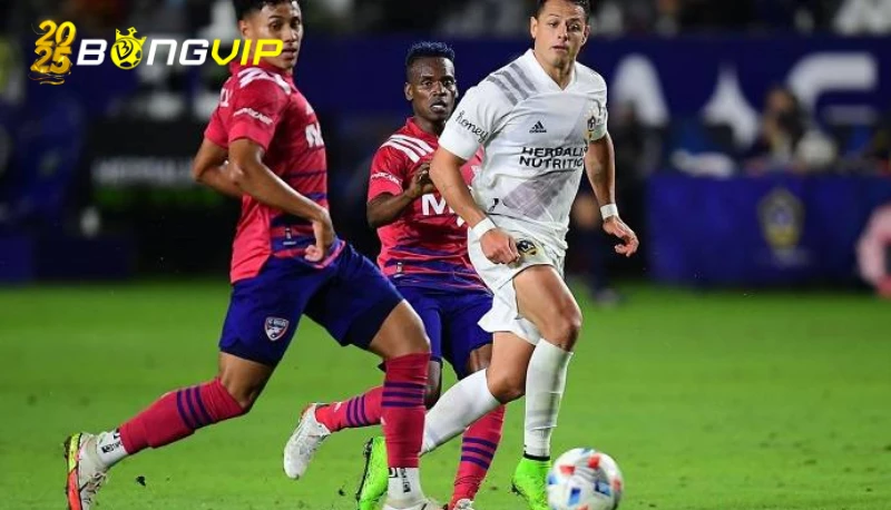 Soi kèo Los Angeles FC vs Sporting Kansas City: Tỷ lệ kèo và dự đoán